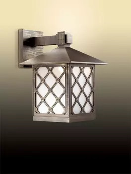 Уличный настенный светильник Odeon Light Anger 2649/1WA