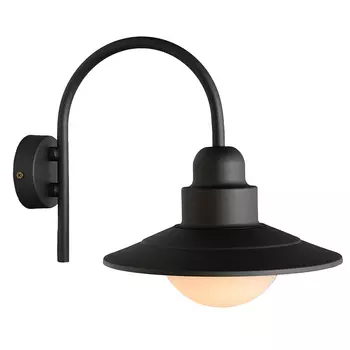 Уличный настенный светильник Северный свет Сад-1 9003