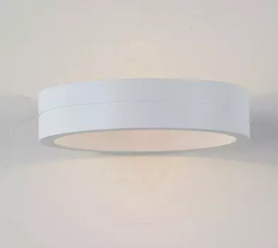 Уличный LED настенный светильник ST Luce SL562 SL562.501.01