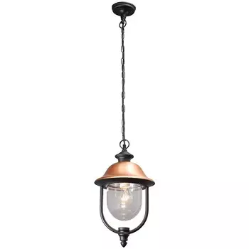 Уличный подвесной светильник De Markt Дубай 805010401