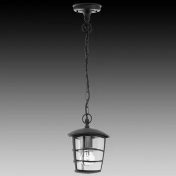 Уличный подвесной светильник Eglo Aloria 93406