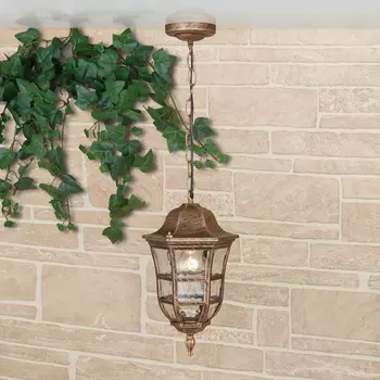 Уличный подвесной светильник Elektrostandard Dorado Dorado H черное зо