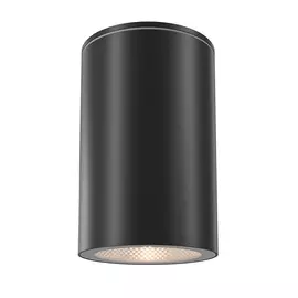 Уличный потолочный светильник Maytoni Roll O307CL-01B