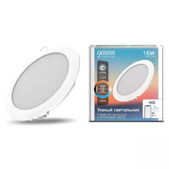 Встраиваемый светильник Gauss Smart Home Downlight 2040122