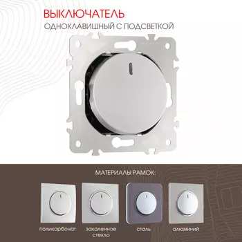 Выключатель Arte Milano Am-202 202.31-1.silver