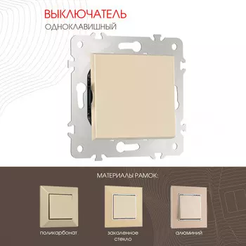 Выключатель Arte Milano Am-203 203.30-1.shampan