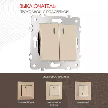 Выключатель Arte Milano Am-203 203.33-2.shampan