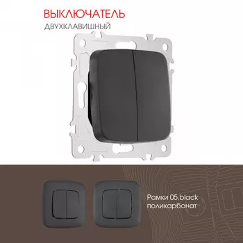 Выключатель Arte Milano Am-205 205.30-2.black