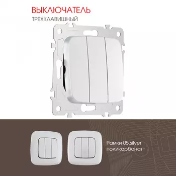 Выключатель Arte Milano Am-205 205.30-3.silver