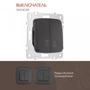 Выключатель Arte Milano Am-205 205.38-2.black