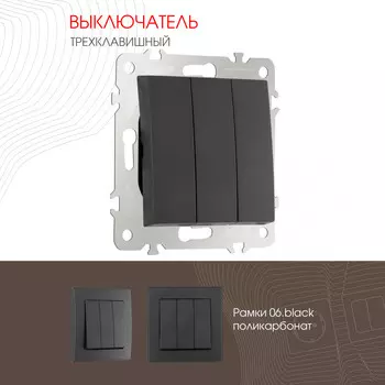 Выключатель Arte Milano Am-206 206.30-3.black