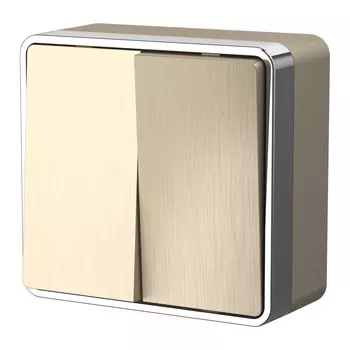 Выключатель Werkel W5020010/ Выключатель двухклавишный Gallant (шампан