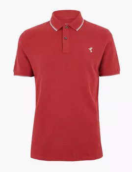 Хлопковая футболка-поло с мотивом колибри