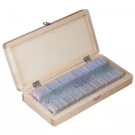 Набор микропрепаратов Bresser