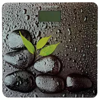 Весы напольные Polaris