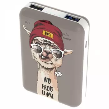 Внешний аккумулятор RITMIX