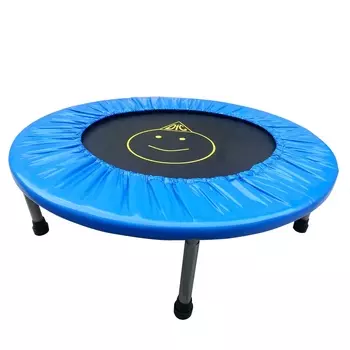 Батут DFC Trampoline Fitness 32 дюйма