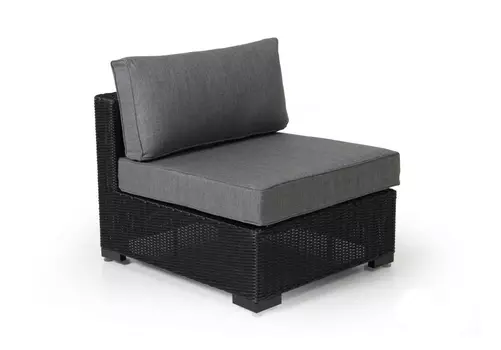 Центральная секция Ninja Black