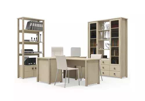 Кабинет руководителя Изабель-3