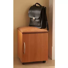 Обувной шкаф Бона Пуф