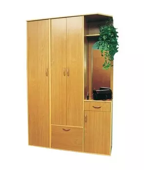 Прихожая №6