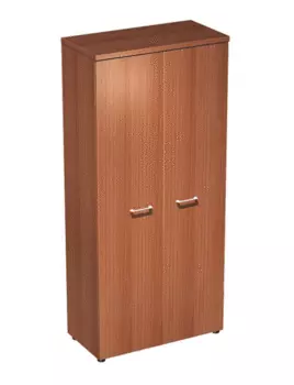 Шкаф для документов закрытый 31