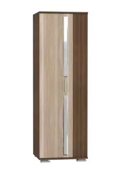 Шкаф для одежды Дарси 1/02