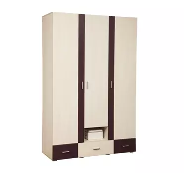 Шкаф для одежды Некст 06.19