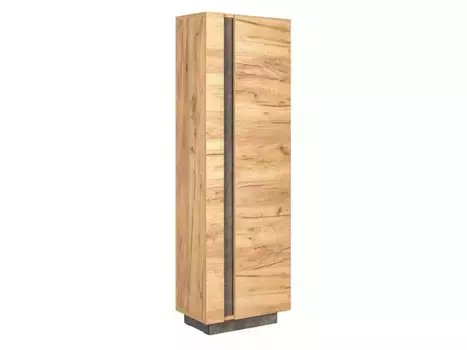 Шкаф комбинированный Арчи 10.05