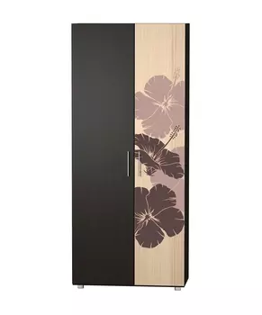 Шкаф комбинированный с полноцветной фотопечатью 9