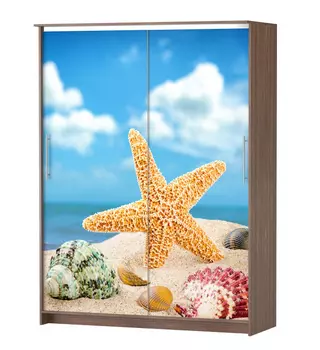 Шкаф-купе Альянс