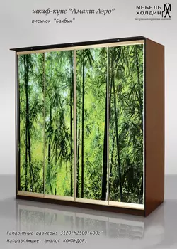 Шкаф-купе Амати-Аэро