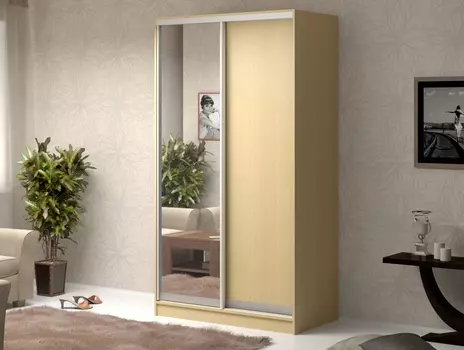 Шкаф-купе Антонио-2