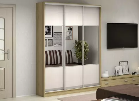 Шкаф-купе Антонио-3.1