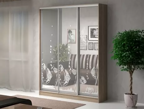 Шкаф-купе Армандо-3