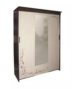 Шкаф-купе Дебют с фотопечатью