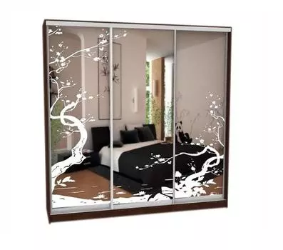 Шкаф-купе Грос-24