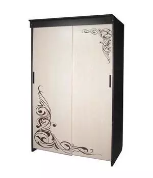 Шкаф-купе Этюд с фотопечатью