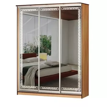 Шкаф-купе Концепт-23 Вереск