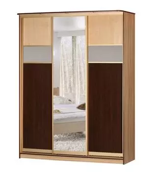 Шкаф-купе Концепт-25 Вереск