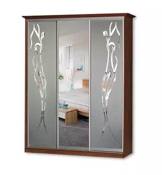 Шкаф-купе Концепт-27 Вереск