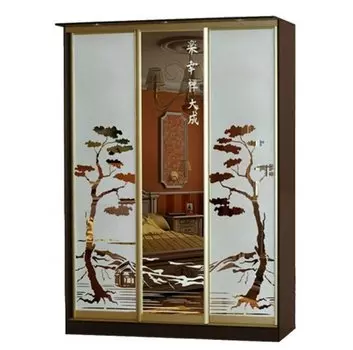 Шкаф-купе Лагуна-11