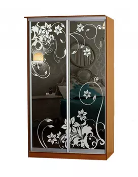 Шкаф-купе Лагуна-14