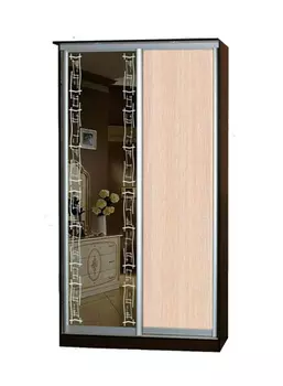 Шкаф-купе Лагуна-15