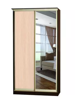 Шкаф-купе Лагуна-19