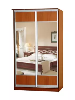 Шкаф-купе Лагуна-21