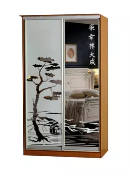 Шкаф-купе Лагуна-23