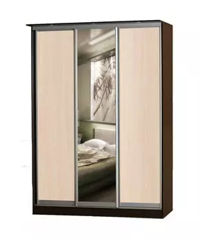 Шкаф-купе Лагуна-2