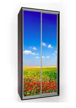 Шкаф-купе Мебелайн-1 с фотопечатью Цветы