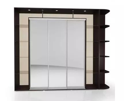 Шкаф-купе Мебелайн-24